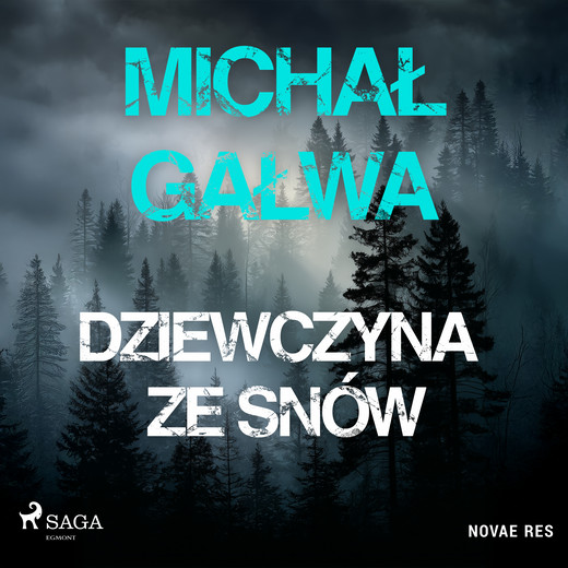 okładka Dziewczyna ze snów audiobook | MP3 | Michał Gałwa