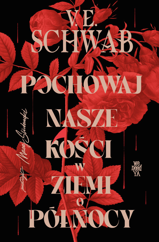 okładka Pochowaj nasze kości w ziemi o północy ebook | epub, mobi | Victoria Schwab (V.E. Schwab)