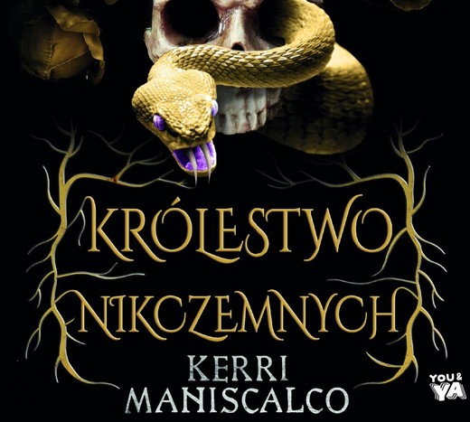 okładka Królestwo Nikczemnych audiobook | MP3 | Kerri Maniscalco