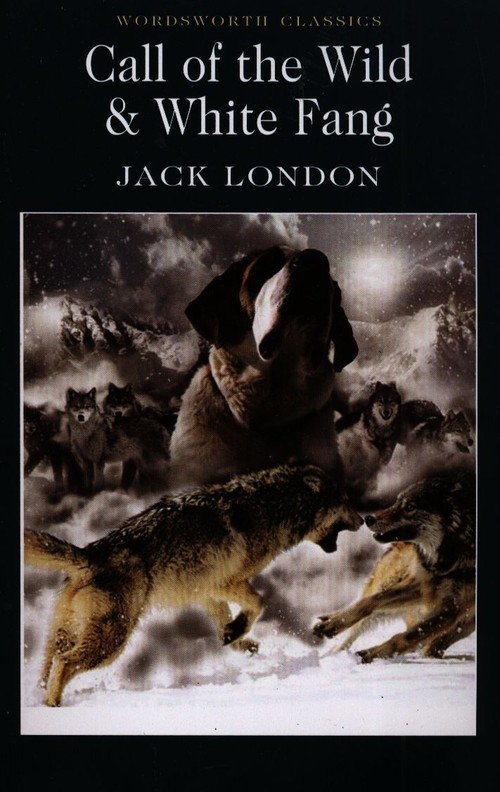okładka Call of the Wild & White Fang. Wordsworth Classics wer. angielska książka | Jack London