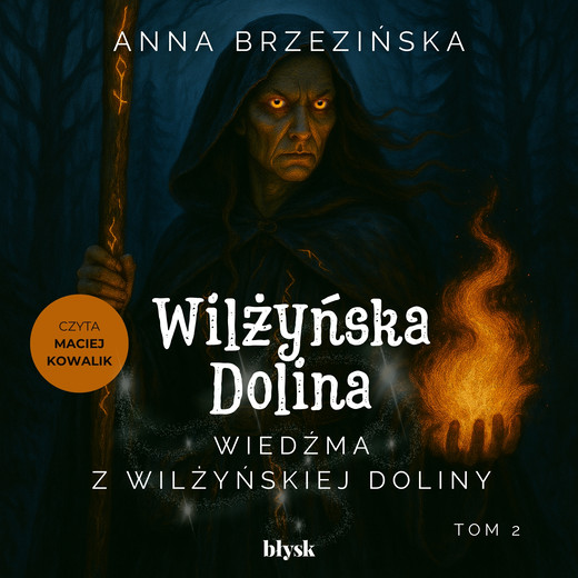 okładka Wiedźma z Wilżyńskiej Doliny audiobook | MP3 | Anna Brzezińska