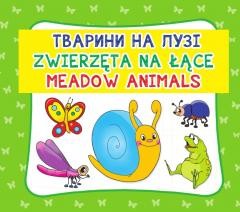 okładka Zwierzęta na łące. Meadow animals książka | Praca Zbiorowa
