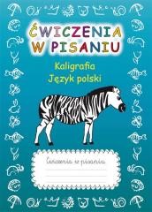 okładka Ćwiczenia w pisaniu. Kaligrafia. Język polski książka | Beata Guzowska