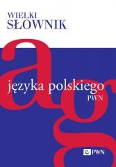 okładka Wielki słownik języka polskiego T.1 A-G książka | Praca Zbiorowa