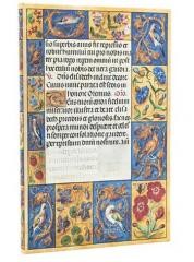 okładka Kalendarz książkowy maxi 2026 Spinola Hours książka