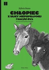 okładka Chłopiec z ulicy Niepoprawnej i kucyki dwa książka | Sylwia Stano
