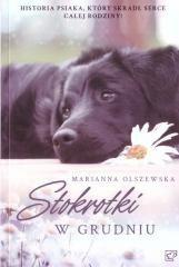 okładka Stokrotki w grudniu książka | Marianna Olszewska