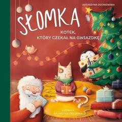 okładka Słomka - kotek, który czekał na Gwiazdkę książka | Katarzyna Ogonowska