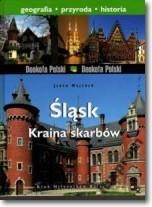 okładka Śląsk Kraina skarbów Videograf II książka