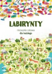 okładka Labirynty. Niezwykła zabawa dla każdego książka | Maja Kanarkowska