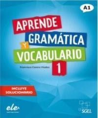 okładka Aprende Gramatica y vocabulario 1 A1 książka | Castro ViúdezFrancisca