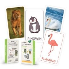 okładka Karty obrazkowe - zwierzęta książka