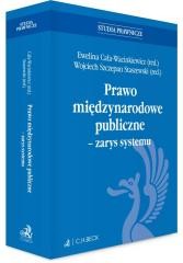 okładka Prawo międzynarodowe publiczne - zarys systemu książka | Praca Zbiorowa