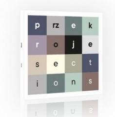 okładka Przekroje książka | Praca Zbiorowa