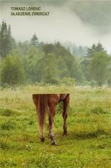 okładka Gładzenie zwierząt książka | Tomasz Lorenc