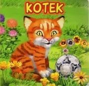 okładka Kotek JAFI książka | Katarzyna Campbell