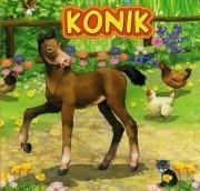 okładka Konik JAFI książka | Katarzyna Campbell