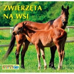 okładka Poznajemy zwierzęta - Zwierzęta na wsi książka | Praca Zbiorowa