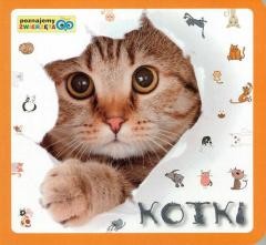 okładka Poznajemy zwierzęta - Kotki książka | Praca Zbiorowa