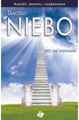 okładka Dlaczego Niebo jest tak wspaniałe? książka | Praca Zbiorowa