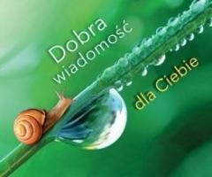 okładka Perełka 288 - Dobra wiadomość dla Ciebie książka | Praca Zbiorowa