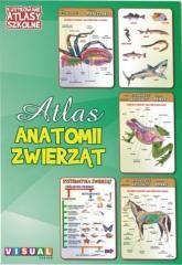okładka Ilustrowany atlas szkolny. Atlas anatomii zwierząt książka | Praca Zbiorowa
