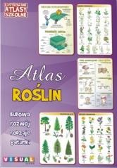 okładka Ilustrowany atlas szkolny. Atlas roślin książka | Praca Zbiorowa