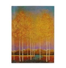 okładka Notatnik szyty Księżycowe Osiki książka