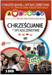 okładka Chrześcijanie w społeczeństwie książka | Praca Zbiorowa