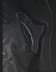 okładka Wyzwolone siły. Angelika Markul i współczesny.. książka | Jarosław Lubiak