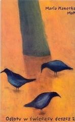 okładka Odloty w świecący deszcz 2 książka | Maria Kanecka