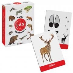 okładka Karty Montessori. Las książka | Maja Dusik