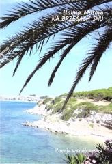 okładka Na brzegu snu książka | Halina Matera