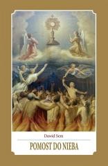 okładka Pomost do nieba książka | Dawid Sem