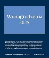 okładka Wynagrodzenia 2025 DGP Poleca 3/2025 książka | Praca Zbiorowa