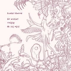 okładka Od wiosny trzęsą mi się ręce książka | Kinga Skwira