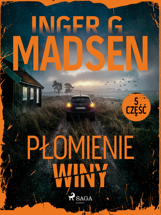 okładka Płomienie winy: część 5 ebook | epub, mobi | Inger Gammelgaard Madsen