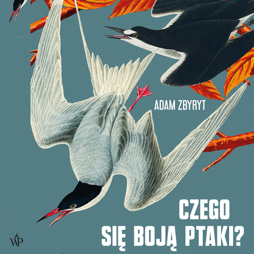 okładka Czego się boją ptaki? audiobook | MP3 | Adam Zbyryt