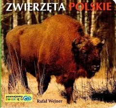 okładka Poznajemy zwierzęta. Zwierzęta polskie LIWONA książka | Rafał Wejner