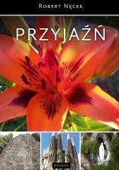 okładka Przyjaźń książka | ks. RobertNęcek