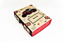 okładka Fun Card English Have Got CREATIVO książka