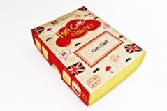 okładka Fun Card English Can/Can't CREATIVO książka