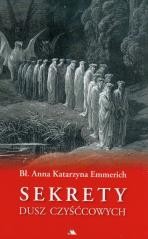 okładka Sekrety dusz czyśćcowych książka | Anna KatarzynaEmmerich