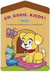 okładka Co, gdzie, kiedy? - buda książka