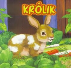 okładka Królik JAFI książka | Urszula Marcinek