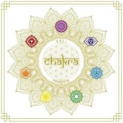 okładka Chakra + CD książka | Kali, Pawbeats