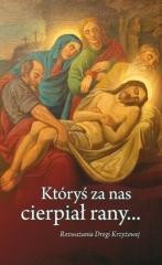 okładka Któryś za nas cierpiał rany... książka | Praca Zbiorowa