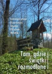 okładka Tam, gdzie świątki rozmodlone książka | Praca Zbiorowa