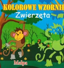 okładka Książeczka kolorowe wzorniki MIX książka