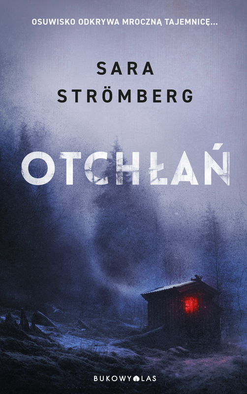 okładka Otchłań ebook | epub, mobi | Sara Strömberg